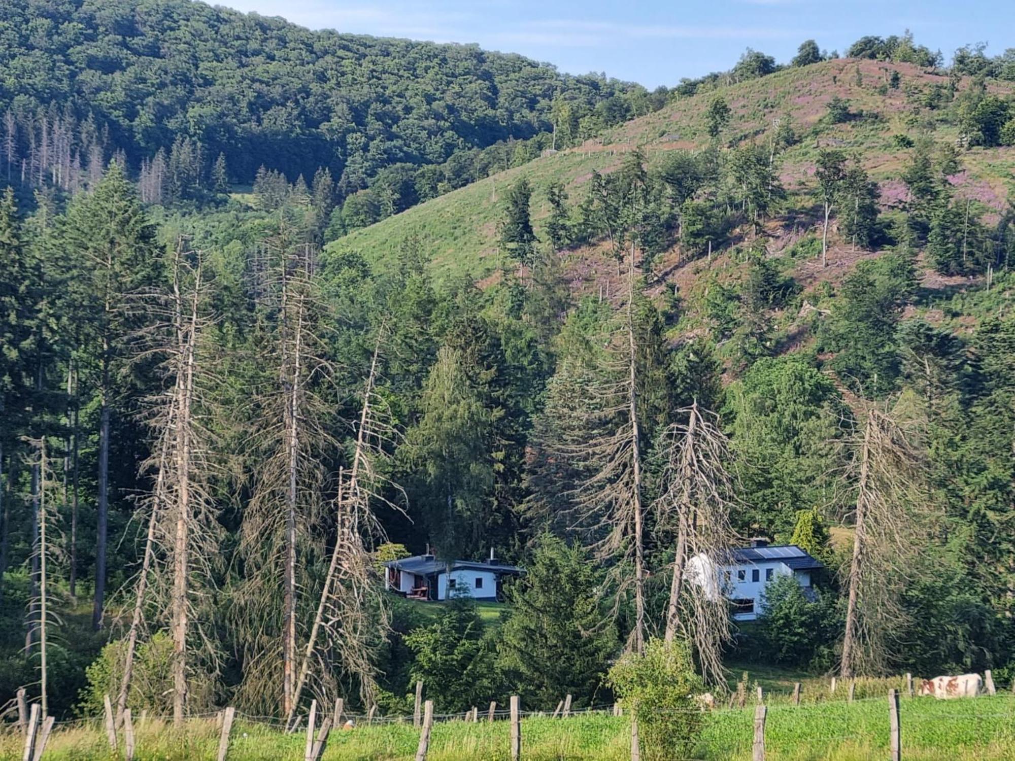 Explorer'S Lodge & Camping Helminghausen Eksteriør billede