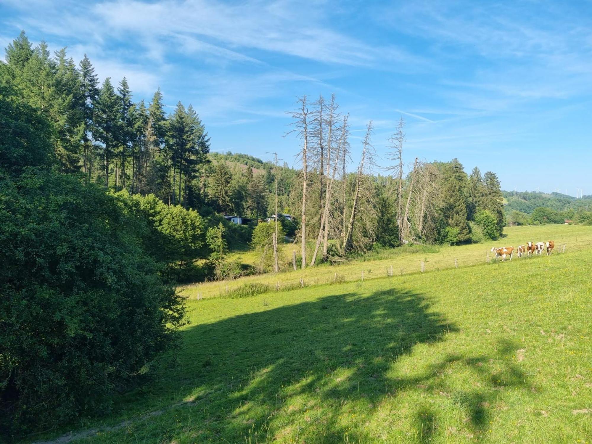 Explorer'S Lodge & Camping Helminghausen Eksteriør billede